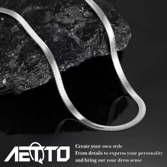 AETTO 寬版蛇骨 新款醫療鋼 簡約歐美鈦鋼男女通用