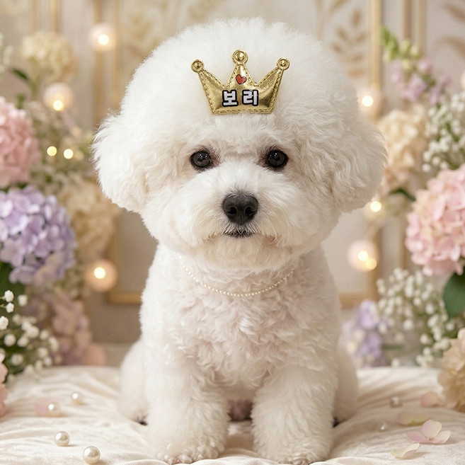 강아지 이름 왕관 머리핀 주문제작 애견 네임핀, 1개, 골드