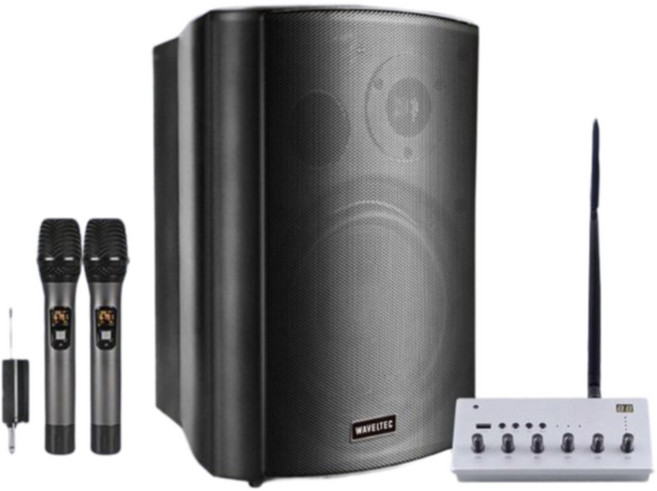 블루코어 마이크세트 매장스피커 블루투스 대형 무선컨트롤 리모컨 펜션 카페, BT-Pro B2-Mic