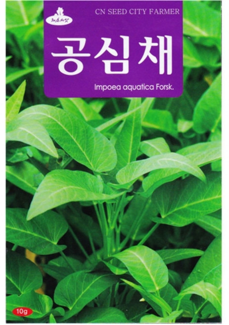 영농사 공심채 씨앗 10g 모닝글로리씨, 1개