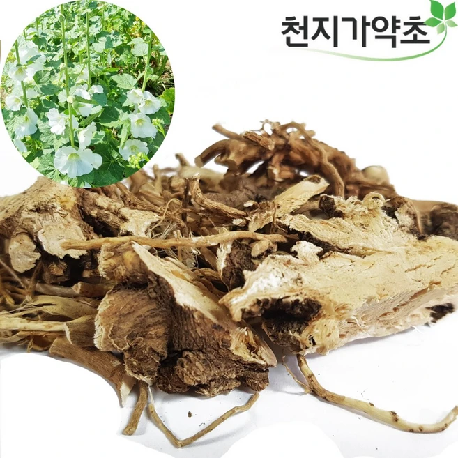 국산 흰접시꽃뿌리 백계근 접시꽃뿌리 흰접시꽃, 1개, 600g - 쿠팡