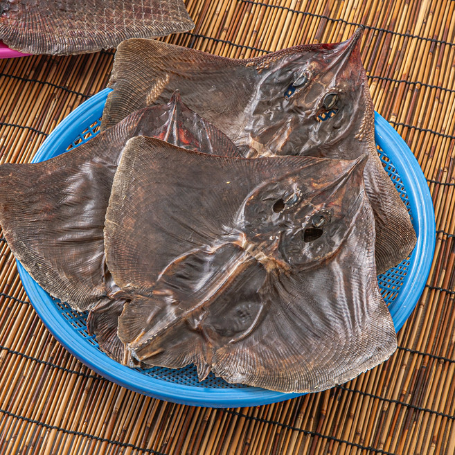 2중건조 남해안 반건조 가오리, 1개, 반건조 가오리 1미 (대)/45~49cm 내외