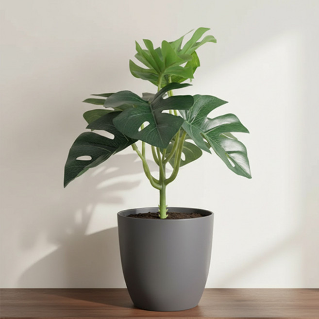 인테리어 홈데코 시들지않는 카페 화분 장식 테이블 조화 인조 가지 몬스테라 E682, 1개, 옵션 1