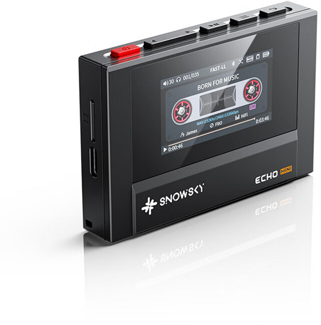 FiiO Snowsky Echo 미니 휴대용 블루투스 플레이어, 검은색