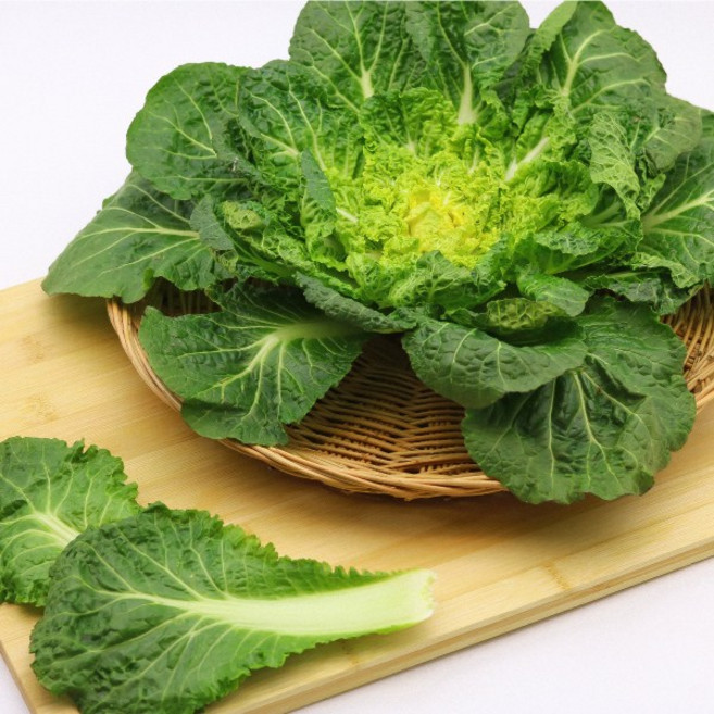 당일선별 국내산 생 봄동 겉절이 배추 봄배추 단배추 400g 1kg 10kg, 1개