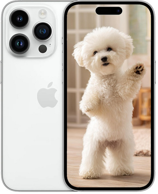 아E폰 14 프로 새상품 미개봉, 256GB, Apple 아이폰 14 Pro 실버