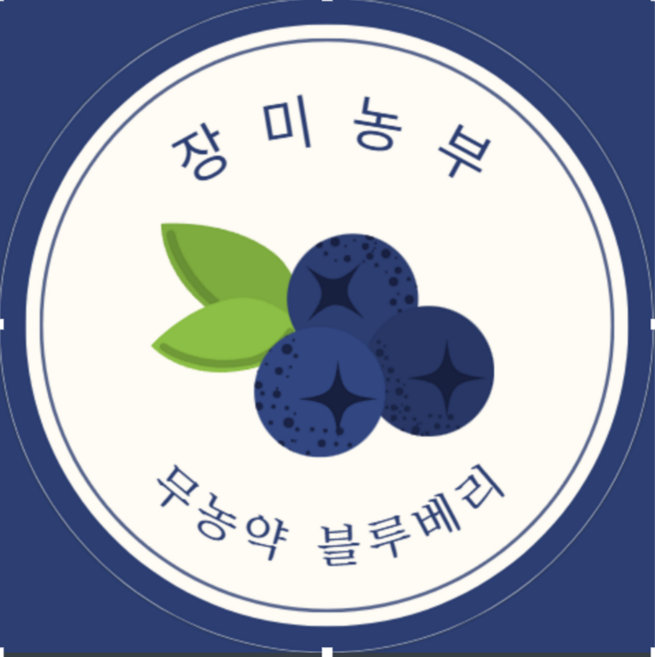 블루베리, 1개, 특 100g