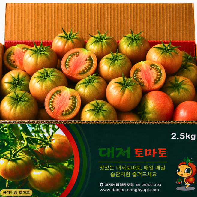 [한정특가] 고당도 대저토마토 짭짤이, 1개, 2.5kg (L)