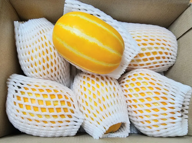 틸로팜 고당도 고품질 성주 참외 특품 프리미엄 당도선별 꿀참외 로얄과, 1개, 1kg (3-5입내외)