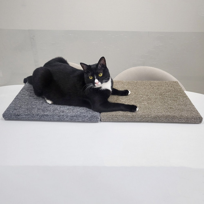 8DECO 고양이 탄탄 스크래쳐 우드평판형 고양이쉼터 고양이 쇼파, 1개, 고양이 스크래쳐_브라운