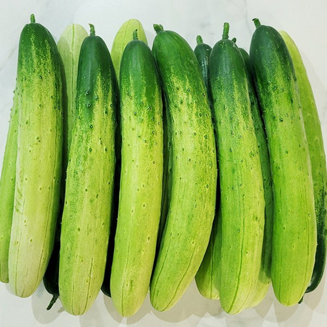 수분가득 백다다기 오이 백오이 특품 당일상품., 1개, 10kg(47~50개내외)