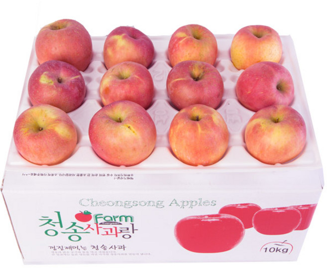 아침햇살 청송사과 9kg가정용/정품/실중량, 02흠과C12-9kg(흠과)[20~28과]중대과, 1개