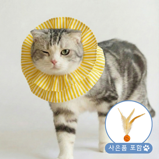 반려동물 초경량 편안한 중성화 넥카라, 1개, 옐로우