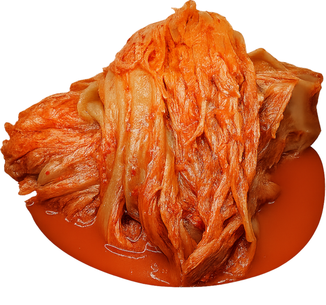 국내산 전라도 자연숙성 묵은지 김치 김치찌개 새콤한 쉰김치, 1박스, 1kg