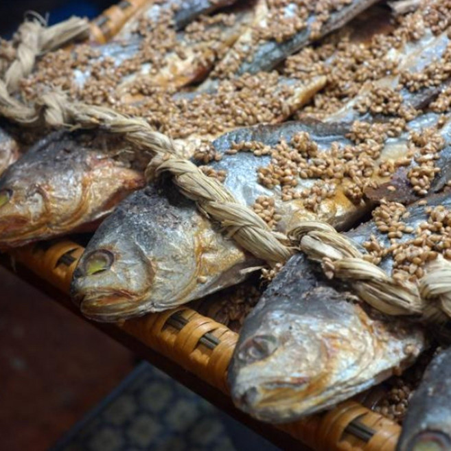 [영광누님맛보증] 법성포 찐 보리굴비 내장제거 특품 생기마루, 1세트, 10미(29Cm 내외) 선물포장