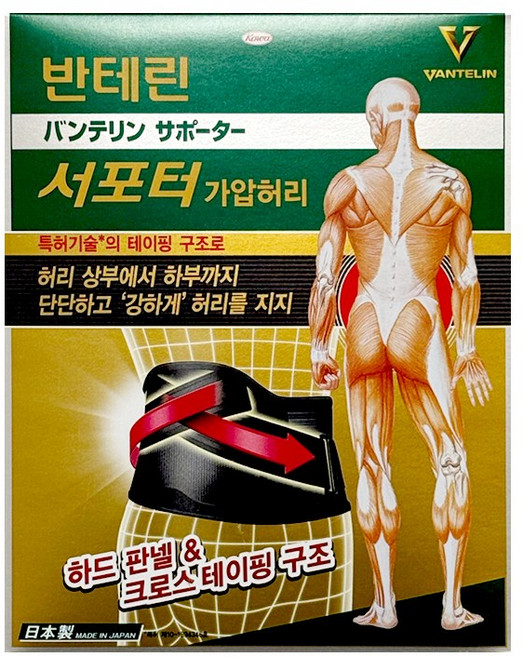 [약국정품] 반테린코와 서포터V 테이핑 가압허리 보호대 1매입, 1개
