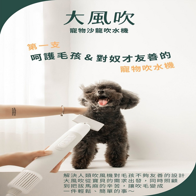 uah 寵物吹水機 UCSJ01 輕量化設計 恆溫護理 寵物專用吹風機, 台