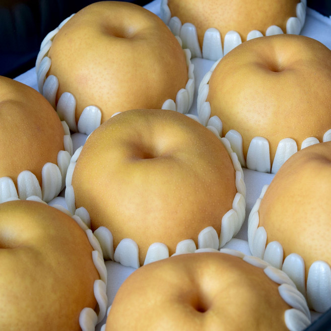 늘푸른청과 나주 가정용 못난이 배 흠집실속 중소과 중과 대과 특대과, 1박스, 5kg(중대과,9~10과)