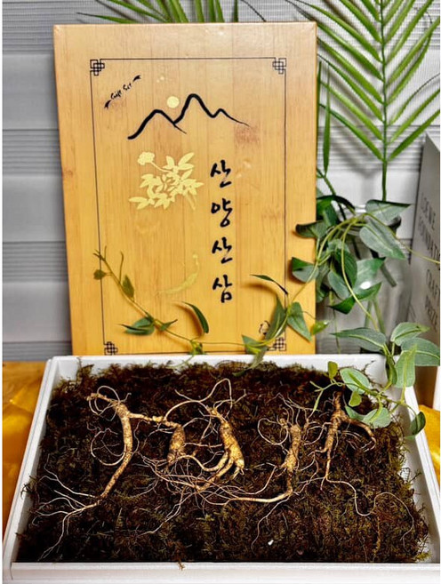 [The 건강하삼] 산양산삼 정삼 선물세트 산양삼 고급포장 보자기 추석선물 장뇌삼 산삼 산양산삼, 15년근 3뿌리, 1개