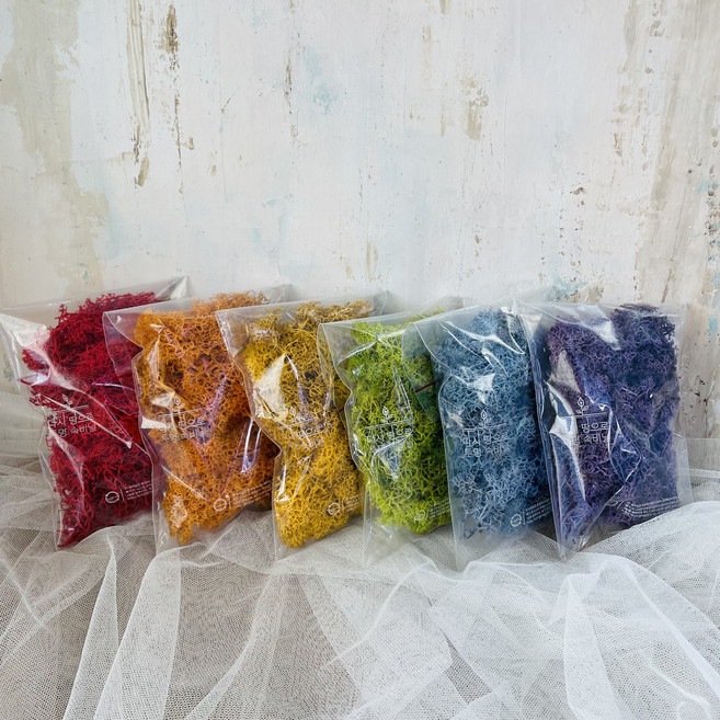 스칸디아모스 20g 30g 50g 소포장 손질모스 공기정화식물 천연 잔디이끼 소량판매, 레드, 1개