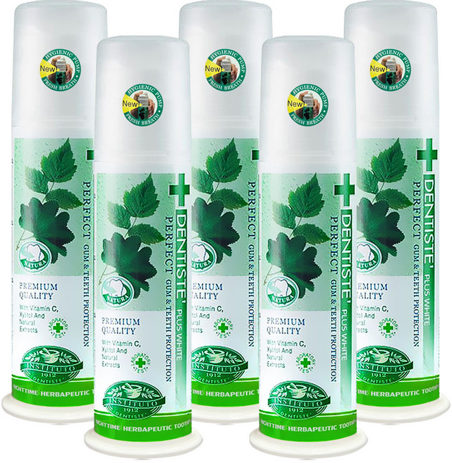 덴티스테 플러스화이트 펌프형 치약, 170g, 5개