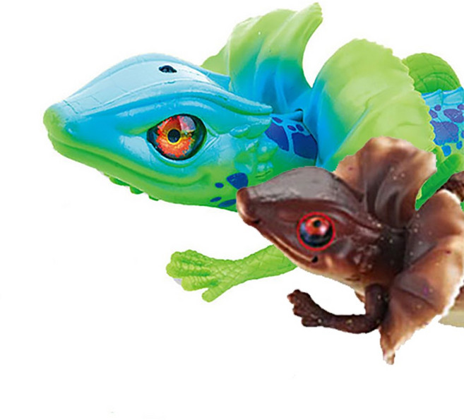 토키즈 목도리 도마뱀 RC 랜덤배송, 1개