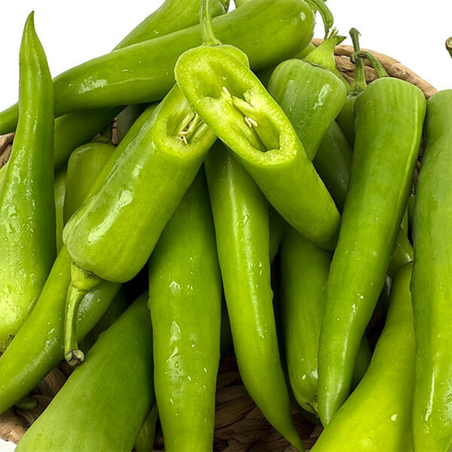 GAP인증 국산 당조고추 당조절 3kg, 당조고추 3kg