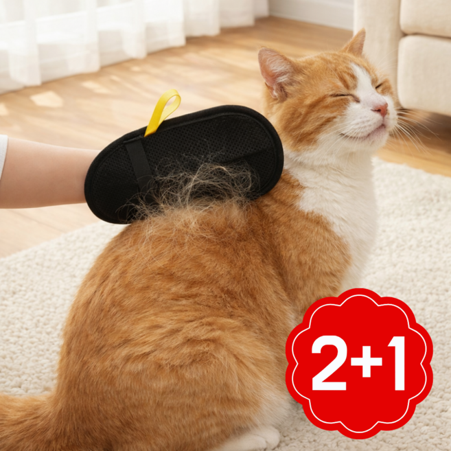 르와핏 반려동물 털 제거 장갑 강아지 고양이 브러쉬, 3개, 검정