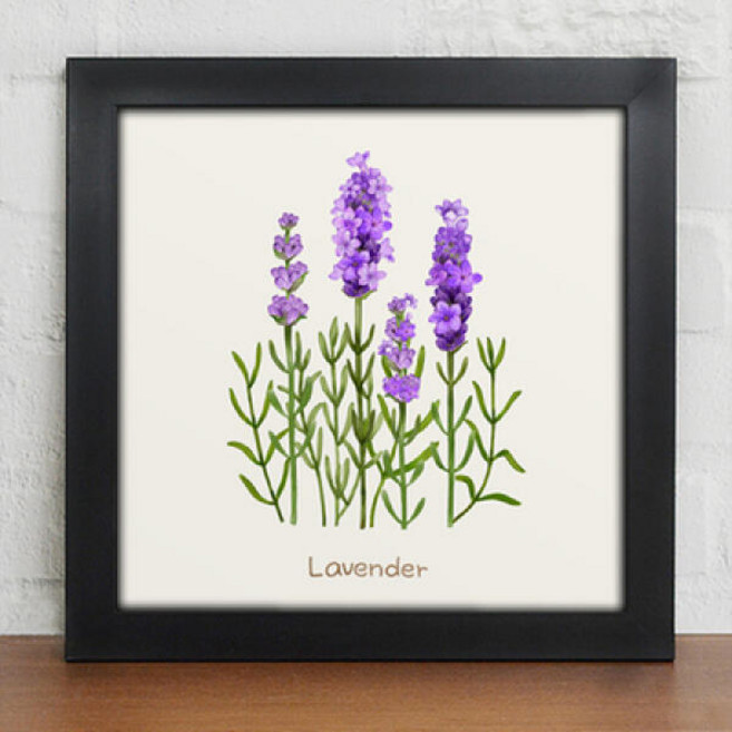 아트박스/꾸밈 ct056-허브는향기를싣고_인테리어액자, 블랙/9타입-루꼴라