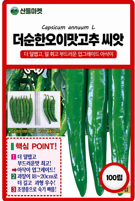 산들마켓 THE순한오이맛 고추 씨앗 100립 조생종 과장이 길고 순한맛 부드러운 대과종 오이고추씨 품종 종자, 5개