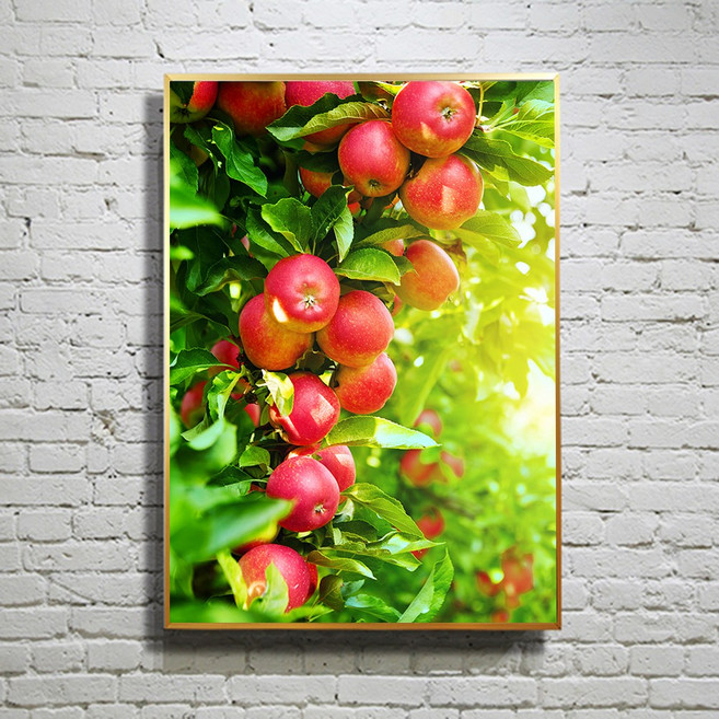 화색갤러리 풍수 소형사이즈 16종 해바라기 그림 액자 프리미엄 캔버스천으로 인화, 13사과