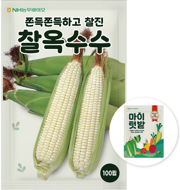 NH농우바이오 쫀득쫀득하고 찰진 찰옥수수 씨앗 100립, 1개