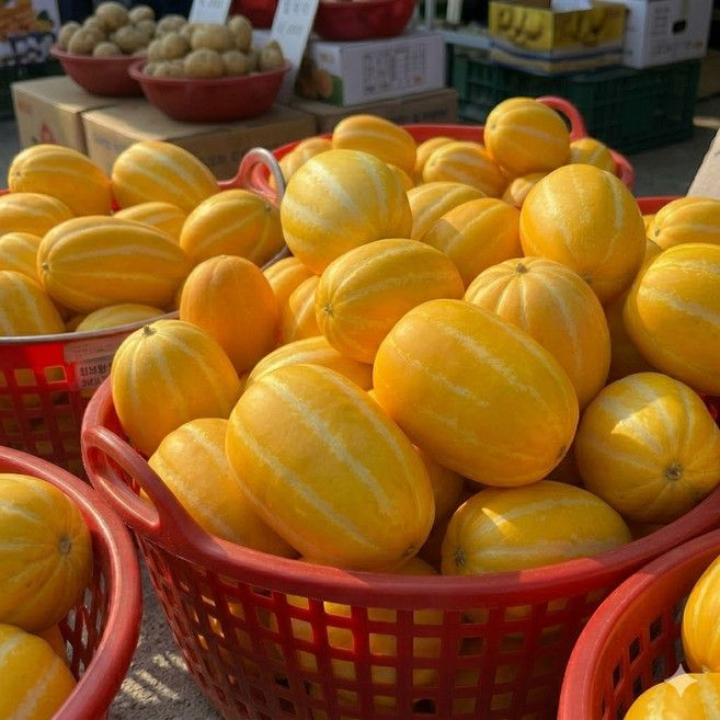 성주참외 당일수확 못난이참외, 1박스, 5kg