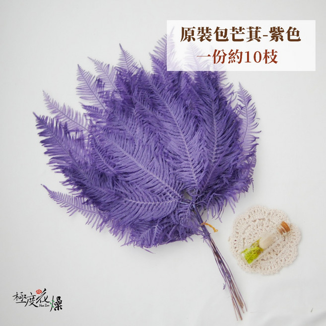 大地農園 高山羊齒, 永生芒萁原裝包,紫色,10枝,一包原裝包