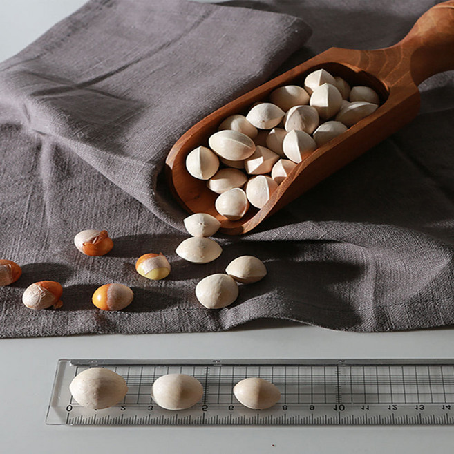 햇은행 딱딱한 껍질있는 피은행 (대), 1개, 1kg