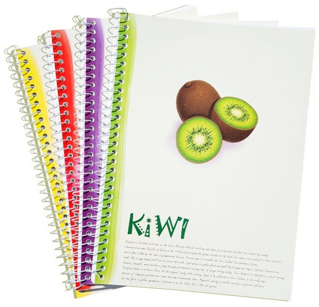 스타일 과일 일러스트 2000연습장 4권 85매, 1세트