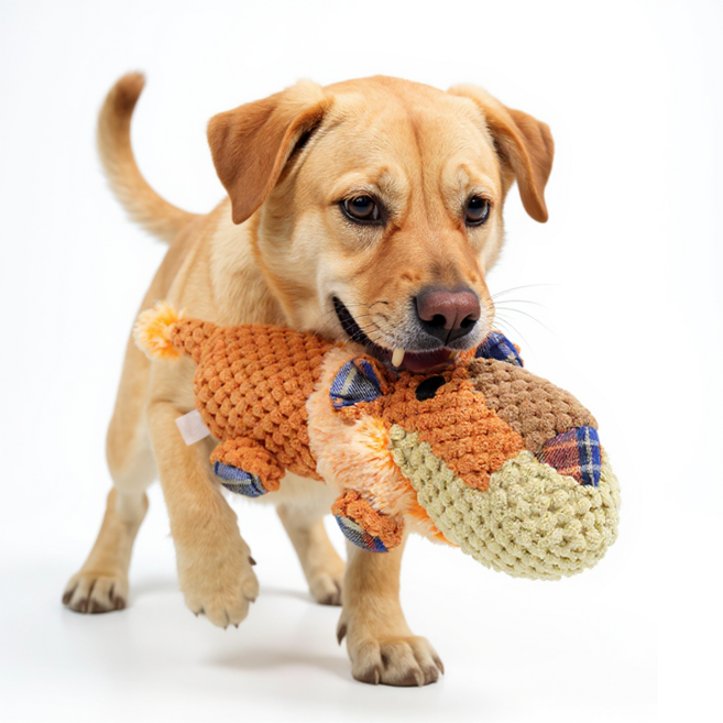 강아지 장난감 봉제 삑삑이 치아발육기 소형견 중형견 스트레스해소 말 하마 코뿔소 사자 반려견 인형 장난감, 1개, Orange lion