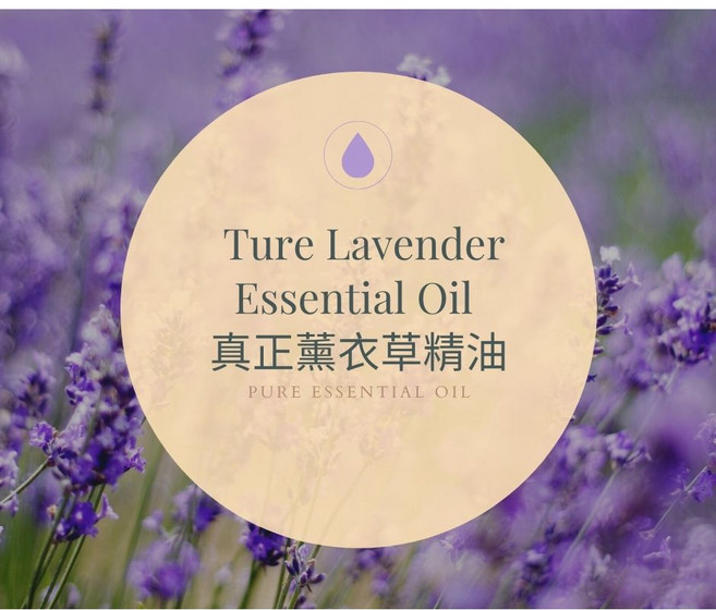 【MW精油工坊】真正薰衣草精油 True Lavender Essential Oil 10ML, 1個
