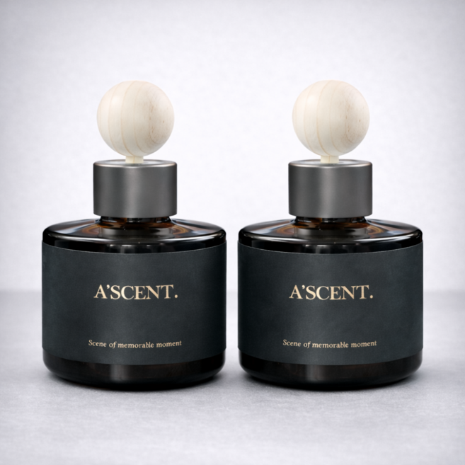 에이센트 차량용 디퓨저 세트, 그린에어리, 2개