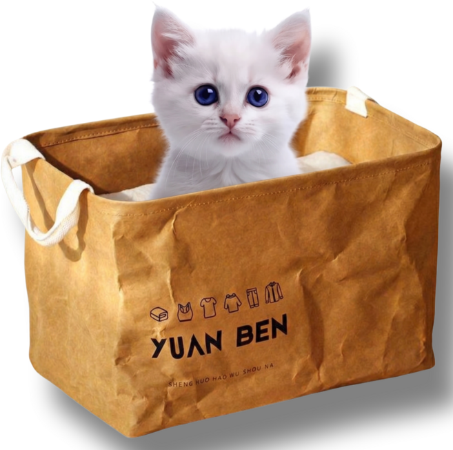 리얼세이지 고양이 박스 스크래쳐 원단, 1개, 브라운