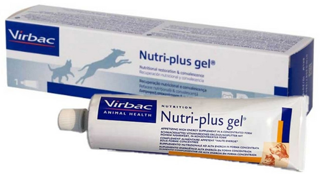 버박 반려동물 뉴트리플러스겔 영양제, 120.5g, 종합영양제, 1개