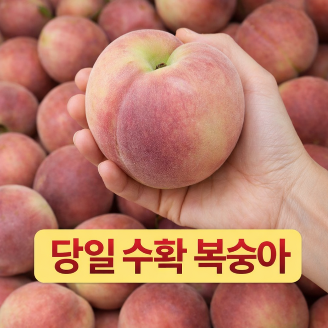 제철 신비복숭아 1kg, 1박스