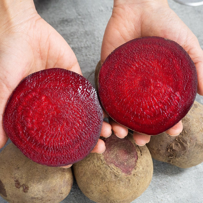 세모농 국내산 제주 비트 햇 레드비트 최상품 고당도, 1개, 레드비트 5kg 중상