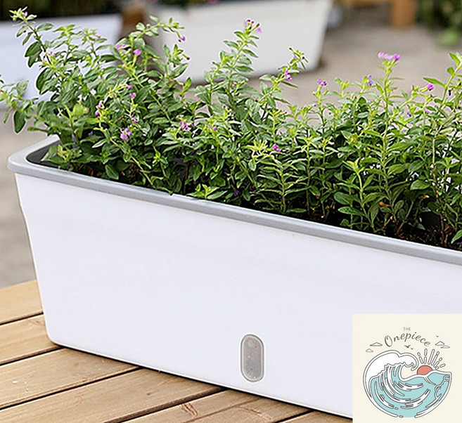 우솝상점 미니정원 자동급수 화분 아이디어 귀여운 편리한