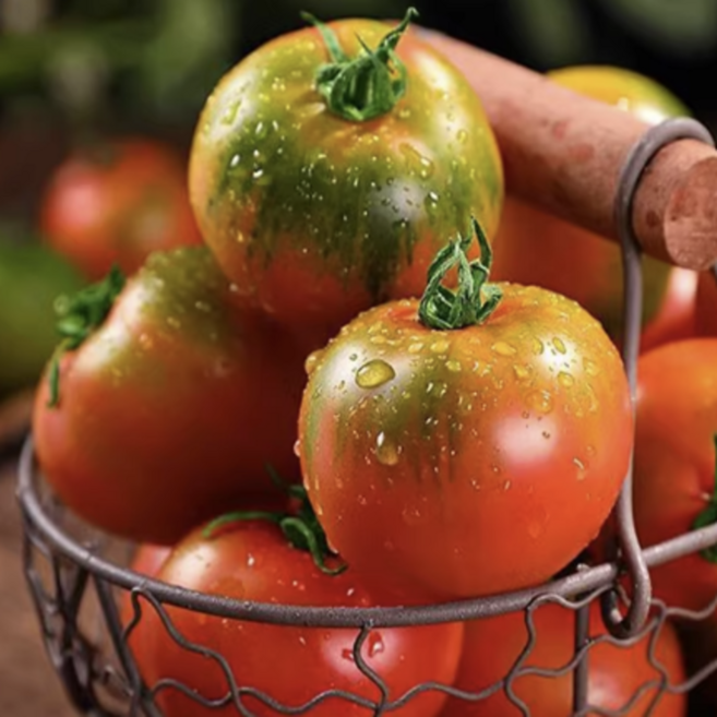 [산지직송] 부산 고당도 단짠 대저토마토, 1박스, 1kg 로얄과(s-3s)