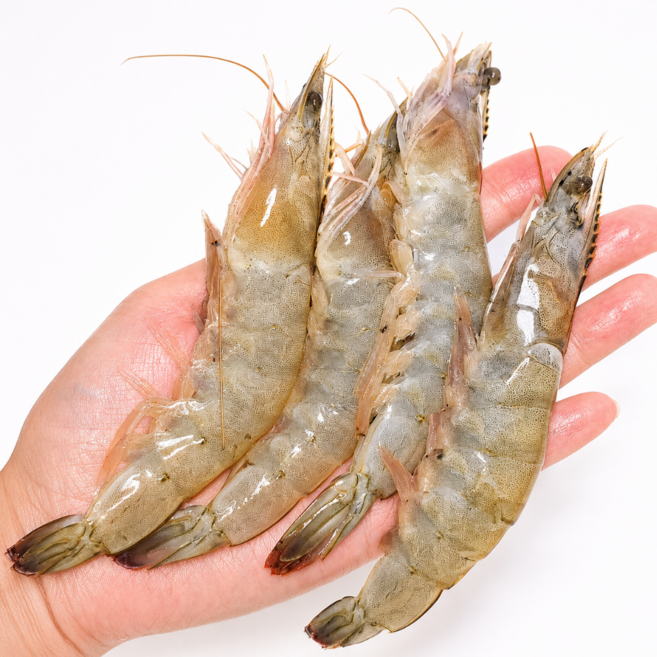 [대 1KG당 15-20미] 선도보장 살이 꽉찬 급냉 흰다리새우 shrimp, 1박스, 2kg