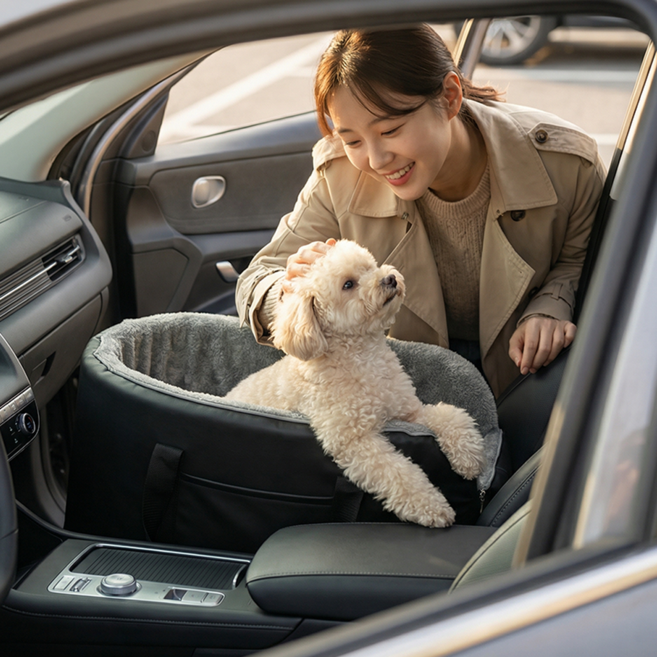치와와 차량용 강아지 카시트, 1개, 블랙-추천