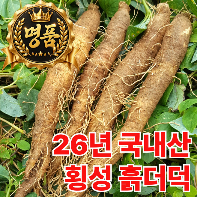 3위 - [26년 햇더덕] 강원도 횡성 더덕 흙더덕, 1개, 흙더덕_1kg (소)