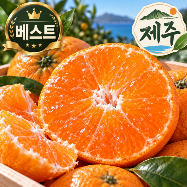 [단독초특가] 제주 고당도 최대 15brix 노지 감귤 산지직송, 1박스, 로얄과 3kg