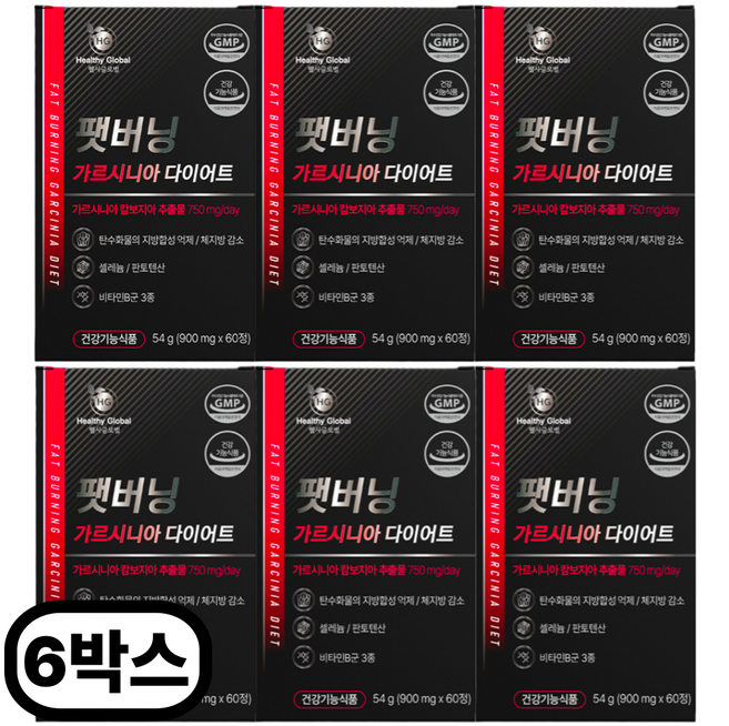 가르시니아 남자 남성 다이어트 보조제 가르니시아 HCA 팻버닝 체지방 감소 식약처인증, 6개, 팻버닝 가르시니아, 60정